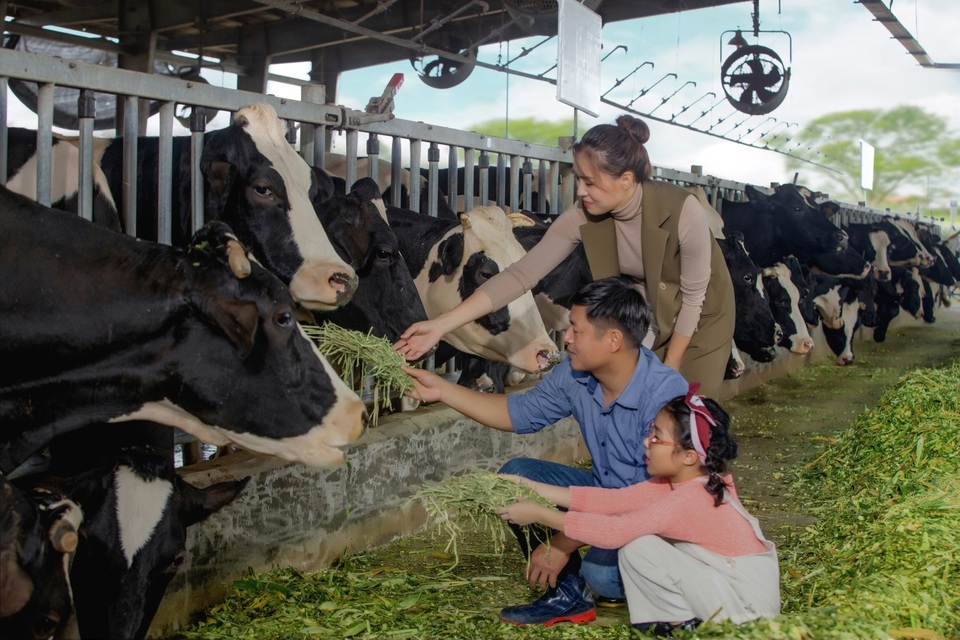 Cô Gái Hà Lan “bật mí” cách thức kiểm tra sữa tươi có bị pha loãng - 3