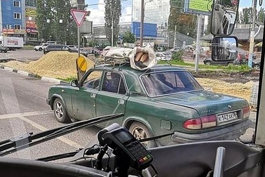 Sửng sốt cảnh người chết bị buộc trên nóc ô tô chạy suốt 60km