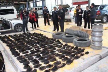 Người Trung Quốc nghiện ăn tay gấu Nga