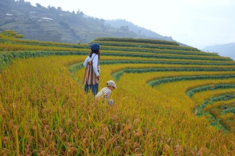 View - Mù Cang Chải đẹp siêu thực, du khách tranh thủ check-in cuối mùa vàng | Báo Dân trí