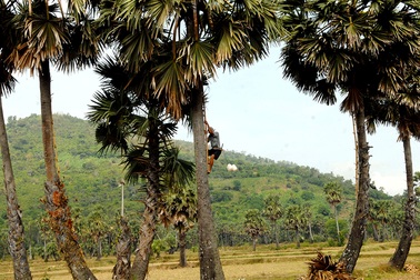 Độc đáo nghề "ăn cơm dưới đất, làm việc trên trời"