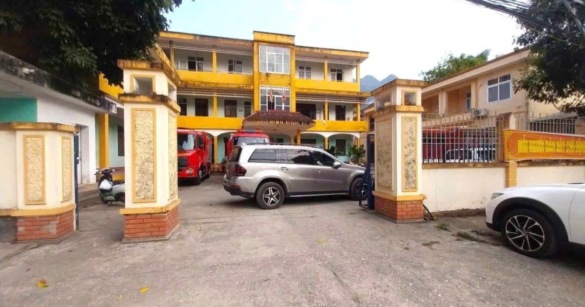 dantri.com.vn
