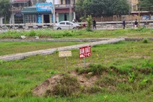 Loạn "thổi giá" thông qua đấu giá đất, đề xuất siết đối tượng tham gia