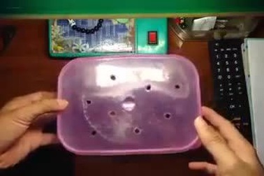 Một trong những con vật nuôi kinh khủng nhất