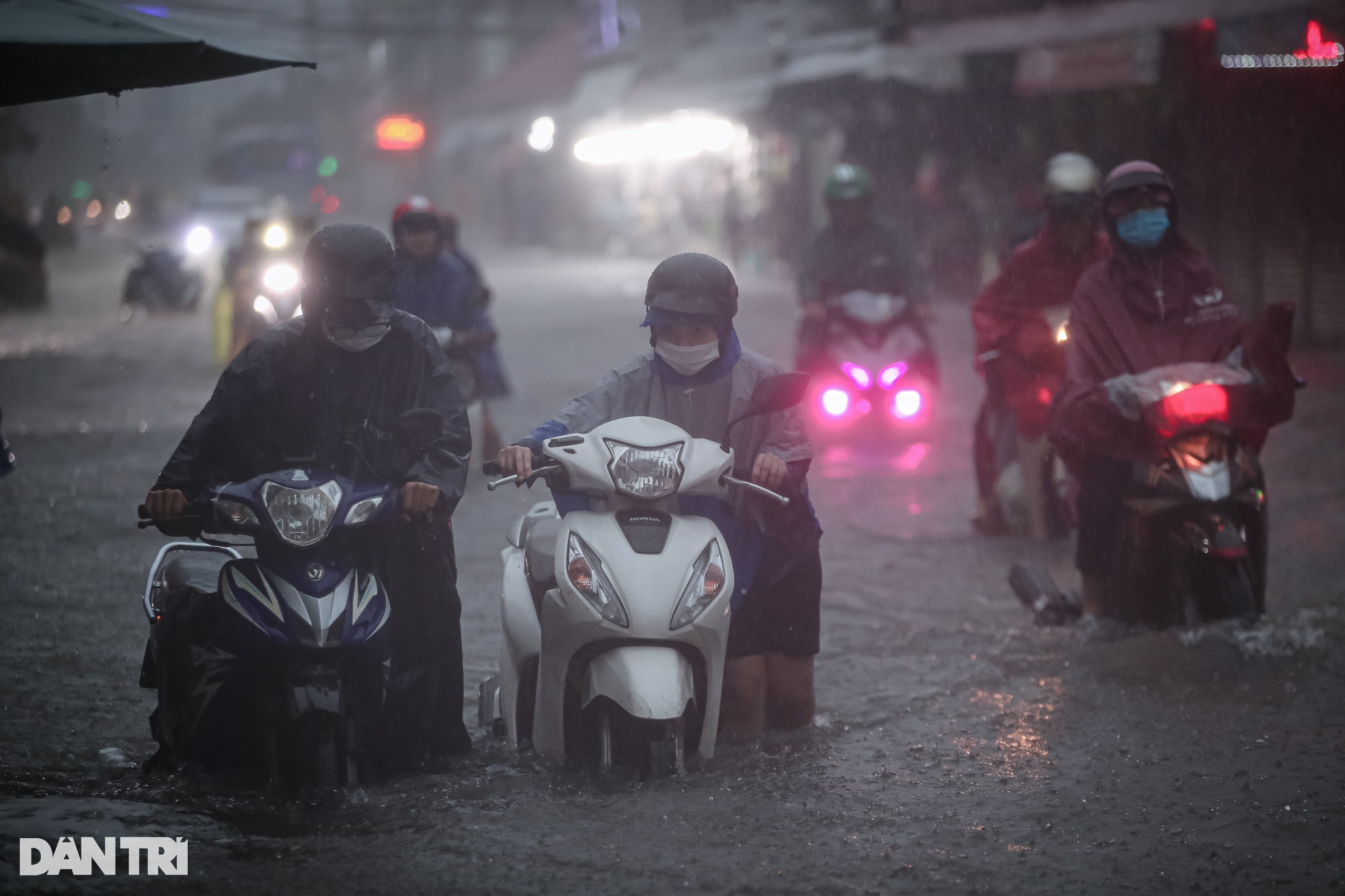 Vịt bơi vào nhà, đường biến thành sông sau mưa lớn ở TPHCM - 12