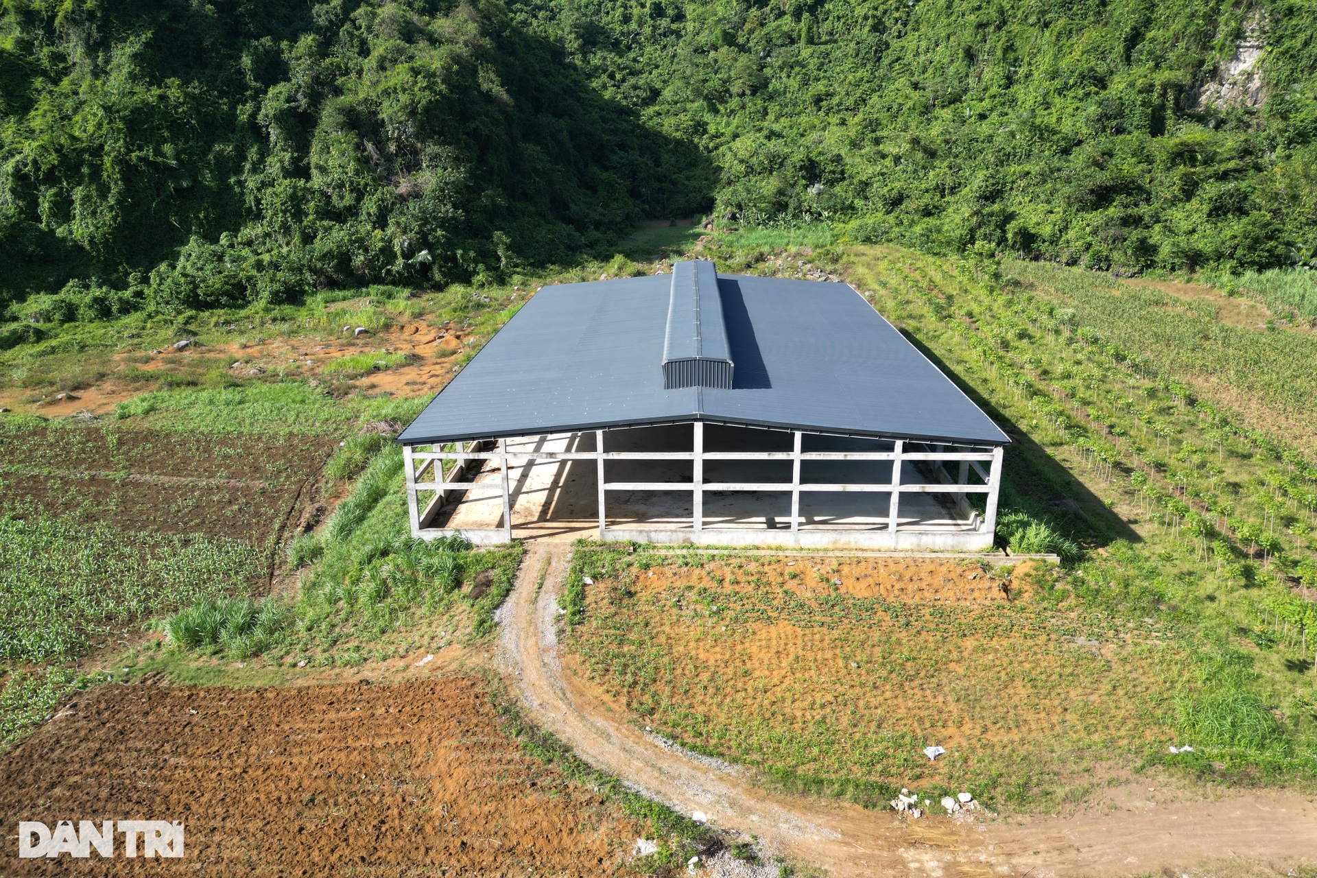 Khu nhà kiên cố rộng cả nghìn m2 bị bỏ hoang giữa núi rừng - 2 Khu nhà kiên cố rộng cả nghìn m2 bị bỏ hoang giữa núi rừng - 2