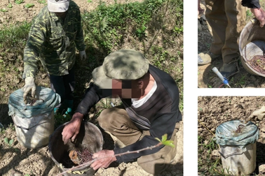 Lào Cai: Ngăn chặn các đối tượng dùng kích điện bắt giun đất