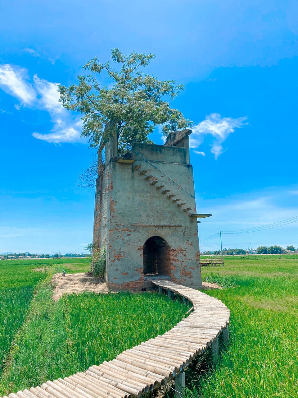 Giới trẻ đổi gió tìm về lò gạch cũ đẹp như tranh vẽ gần Hội An - 5 Giới trẻ đổi gió tìm về lò gạch cũ đẹp như tranh vẽ gần Hội An - 5