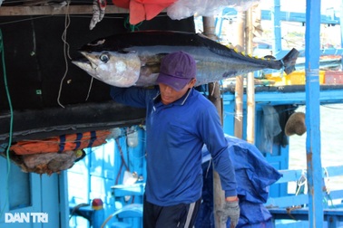 "Năm mới 2022, mong việc làm ổn định và dịch bệnh được kiểm soát..."