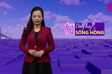 Bức xúc vì bị lợi dụng hình ảnh quảng cáo sản phẩm xương khớp