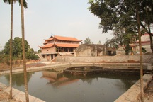 Ngôi chùa bề thế được xây dựng từ tiền bán... nhánh “cây sưa trăm tỷ”