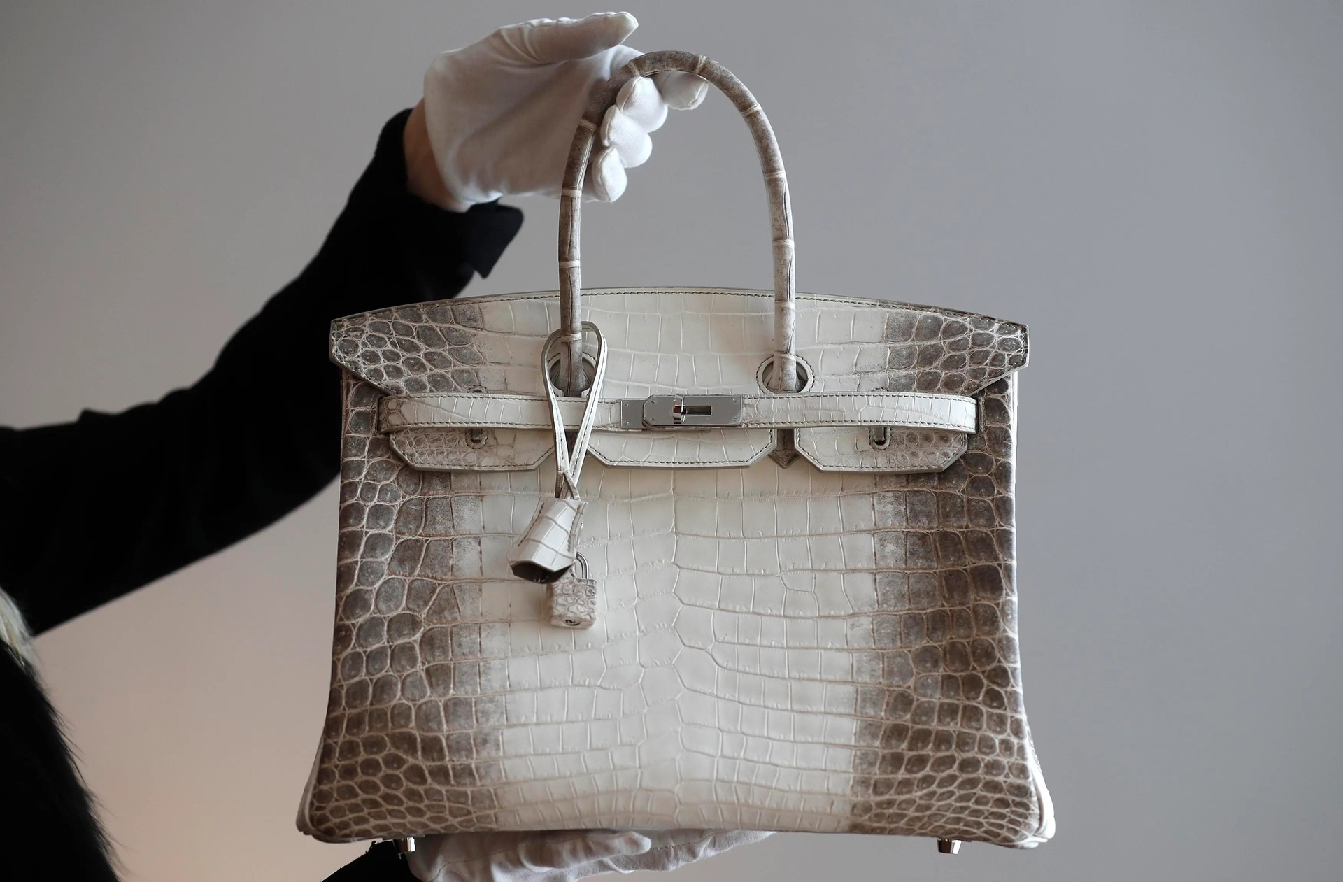 Túi Hermès da cá sấu giá tiền tỷ khiến giới siêu giàu săn lùng - 1 Túi Hermès da cá sấu giá tiền tỷ khiến giới siêu giàu săn lùng - 1