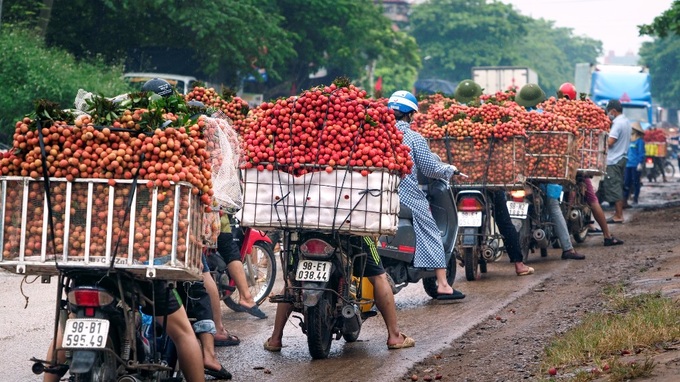 Bắc Giang nhiều sáng tạo trong tiêu thụ vải thiều - Ảnh 2.