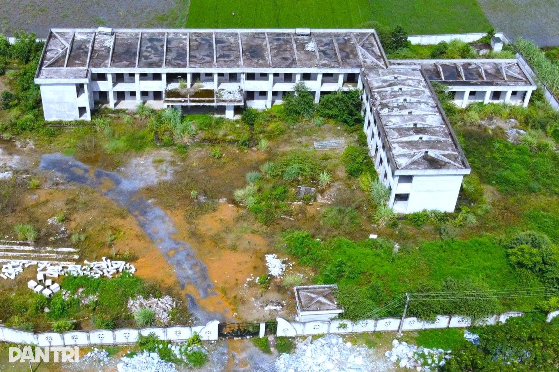 Dự án trường mầm non gần 30 tỷ đồng ở Thanh Hóa dang dở, cỏ dại mọc um tùm - 2