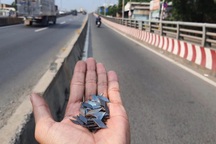 "Đinh tặc" liên tục hoành hành: Xử lý hình sự có khó không?