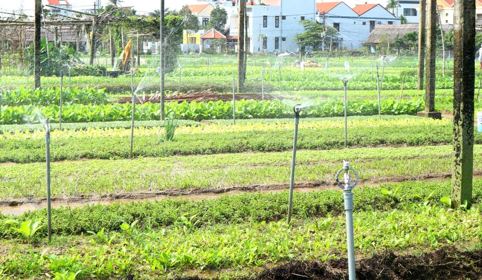 Công nghệ thông minh là giải pháp cho ngành du lịch hậu Covid-19 - 3