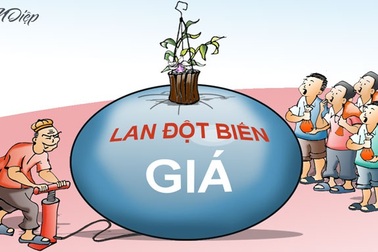 Cần làm rõ giao dịch lan đột biến là "ngáo giá" hay rửa tiền?