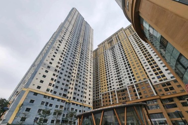 Cơn sốt nhà chung cư do đâu mà có?