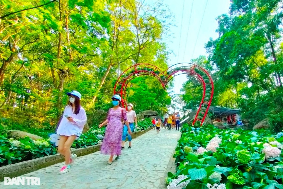 Giới trẻ thỏa sức sống ảo với đường hoa tình yêu trên đỉnh Trường Lệ - 6 Giới trẻ thỏa sức sống ảo với đường hoa tình yêu trên đỉnh Trường Lệ - 6