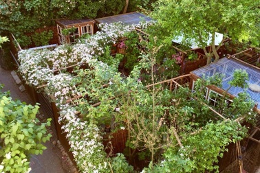 Mẹ "bỉm sữa" bỏ nghề may vá về làm khu vườn đẹp mê, sống cảnh điền viên