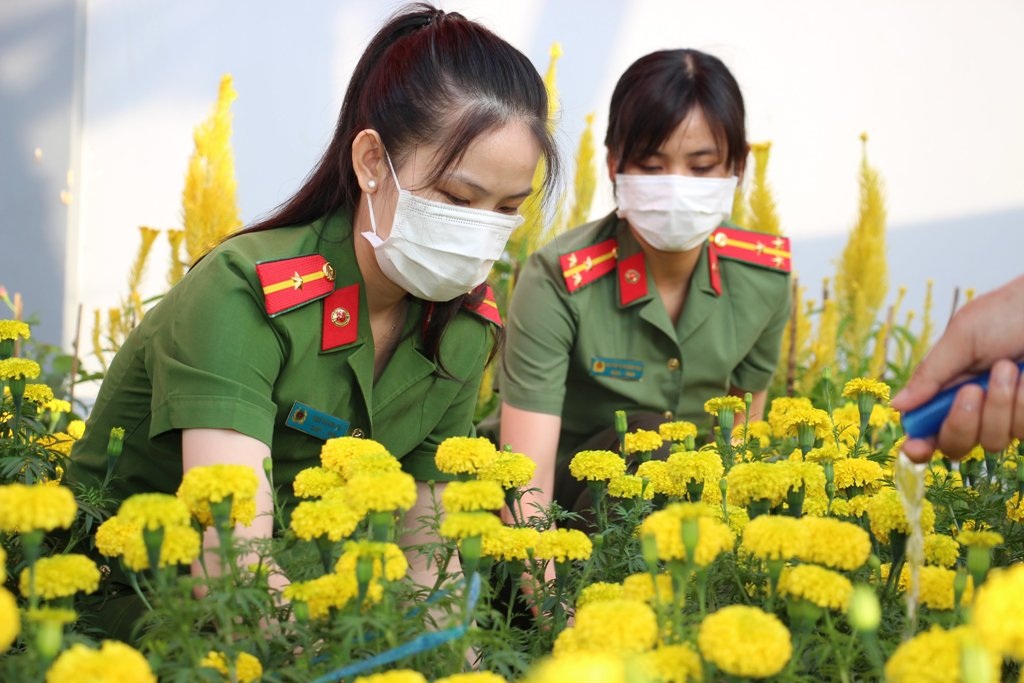 Áo xanh, sao vàng bán hoa Tết, mua quà tặng người nghèo đón Xuân - 4 Áo xanh, sao vàng bán hoa Tết, mua quà tặng người nghèo đón Xuân - 4