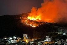 Cháy dữ dội đồi bạch đàn ngay sát khu dân cư