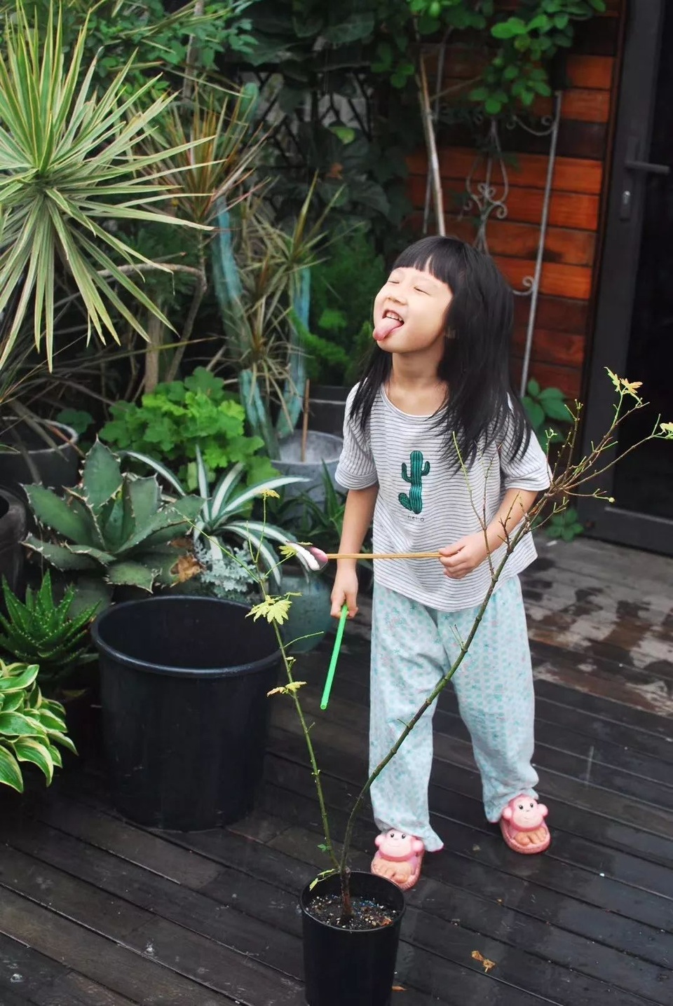 Mẹ cùng con gái biến sân thượng thành thiên đường trăm loài hoa - 10 Mẹ cùng con gái biến sân thượng thành thiên đường trăm loài hoa - 10