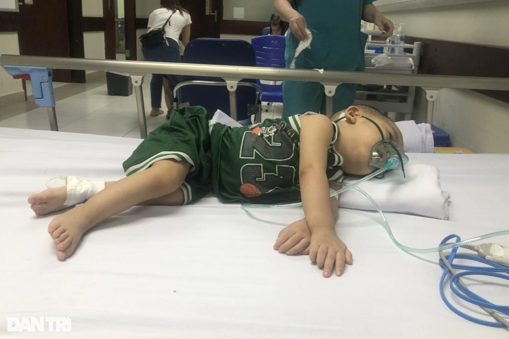 Con đầu đuối nước, con út mắc bệnh não, mẹ nghèo bất lực cầu cứu - 3 Con đầu đuối nước, con út mắc bệnh não, mẹ nghèo bất lực cầu cứu - 3