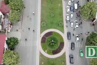 Người dân Thủ đô "than trời" vì mùi hoa sữa nồng nặc khắp phố