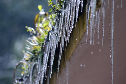 Hà Nội: Du khách đổ xô ngắm băng tuyết hiếm gặp ở Ba Vì