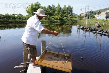 Đà Nẵng: Cả làng đổi đời nhờ đào ao nuôi toàn con đặc sản