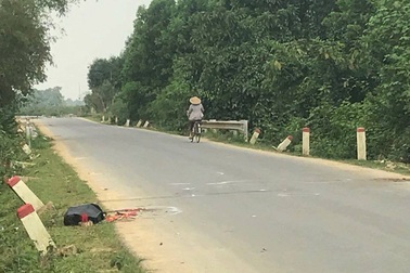 Xe máy húc trâu, nam thanh niên tử vong