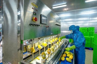 AIG dẫn đầu xu hướng chế biến sâu và chuỗi liên kết bền vững cho nông sản Việt