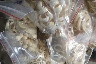 Bắt quả tang một cơ sở kinh doanh ngà voi quy mô lớn