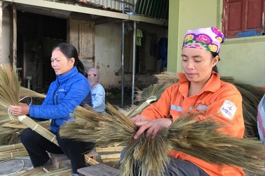 Nghệ An: Hối hả làng nghề chổi đót Hoà Hội ngày giáp Tết