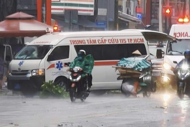 TPHCM: Nhánh cây đè người phụ nữ tử vong trong cơn mưa lớn