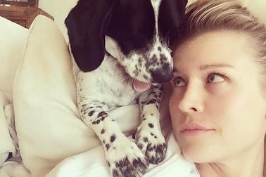 Sao Hollywood chi nghìn đô tìm mèo cưng đi lạc