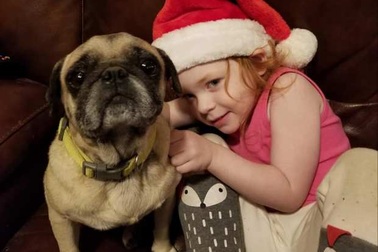 Bé gái 4 tuổi sống sót thần kỳ sau 2 ngày đi lạc trong rừng