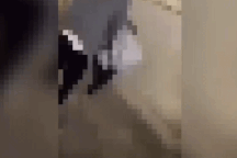 Clip nữ sinh bị đấm, đạp tới tấp ngay trong khuôn viên trường học