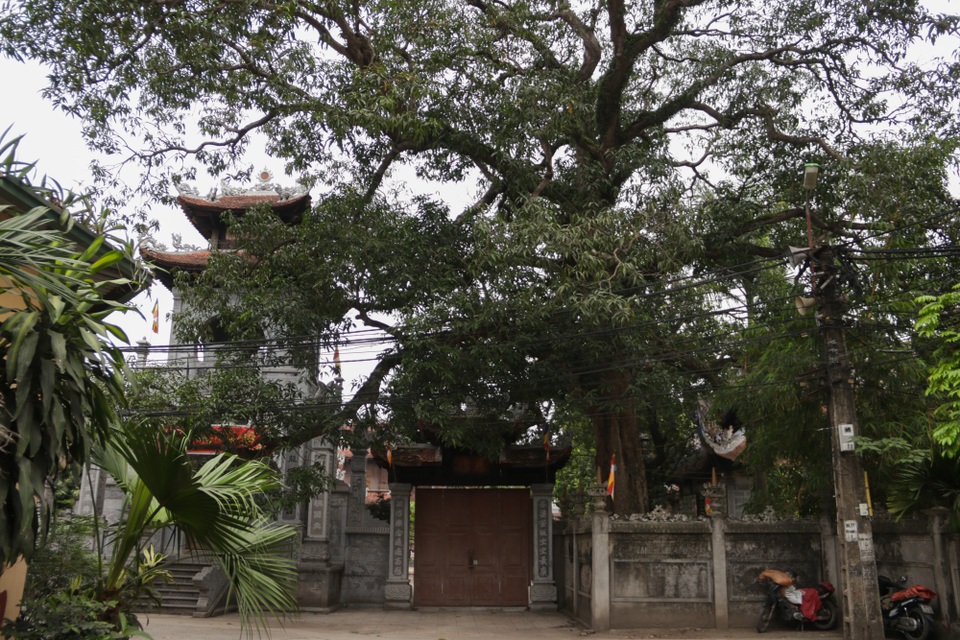 Chiêm ngưỡng ngôi chùa cổ kính nghìn năm tuổi ở Hà Nội - 15 Chiêm ngưỡng ngôi chùa cổ kính nghìn năm tuổi ở Hà Nội - 15