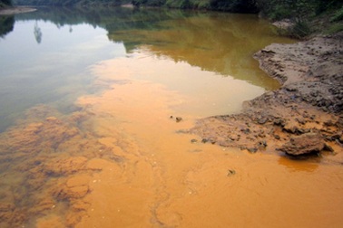 Cận cảnh dòng sông xanh trong bị nước thải "xâm lấn"