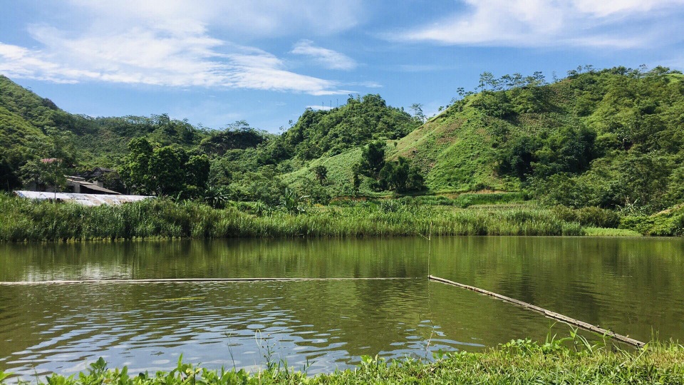 Thanh niên nông thôn kiếm trăm triệu đồng/năm: Không chọn ĐH, học chăn nuôi - 3 Thanh niên nông thôn kiếm trăm triệu đồng/năm: Không chọn ĐH, học chăn nuôi - 3