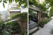 Hà Nội: Biệt thự 3 tầng phủ kín cây xanh đẹp lạ giữa lòng phố cổ