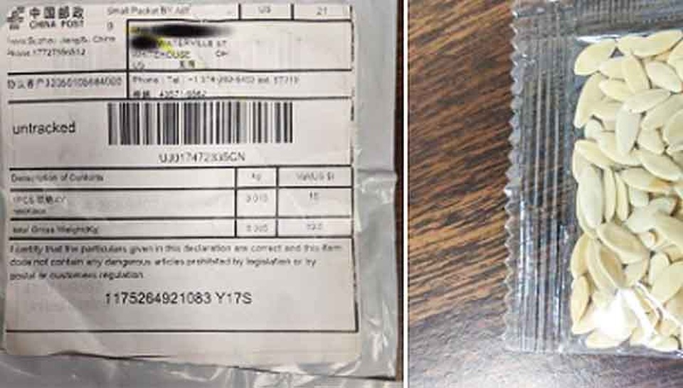 Nhật Bản cảnh báo các hạt giống bí ẩn nghi từ Trung Quốc có thể chứa virus - 1 Nhật Bản cảnh báo các hạt giống bí ẩn nghi từ Trung Quốc có thể chứa virus - 1