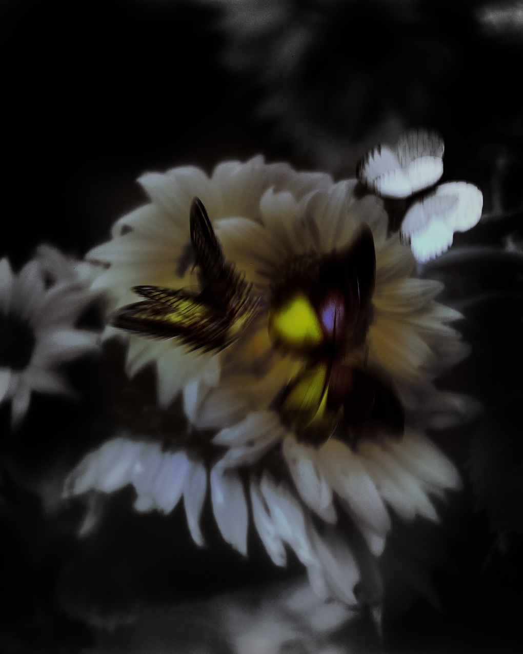 Tinh hoa nghệ thuật trong chuỗi triển lãm The Quintessence Of Bloom do VPBank tổ chức - 2