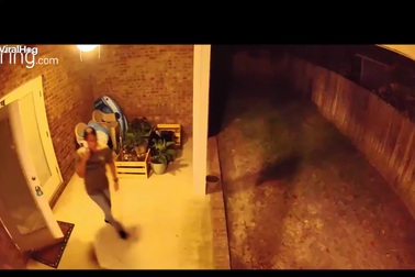 Người đàn ông liều mình đe dọa gấu xông vào tấn công chó nhà