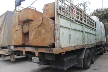 Phải thuê cả phiên dịch để xử lý... xe quá tải!