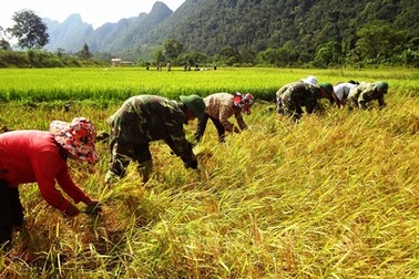 Những đổi thay của “người nguyên thủy” sau nửa thế kỷ rời hang đá