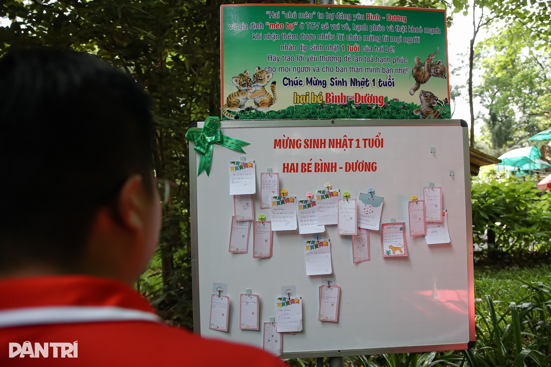 Người dân bất ngờ về buổi lễ sinh nhật của đôi hổ ở TPHCM - 8 Người dân bất ngờ về buổi lễ sinh nhật của đôi hổ ở TPHCM - 8