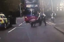 Cảnh sát rượt đuổi lợn ở London